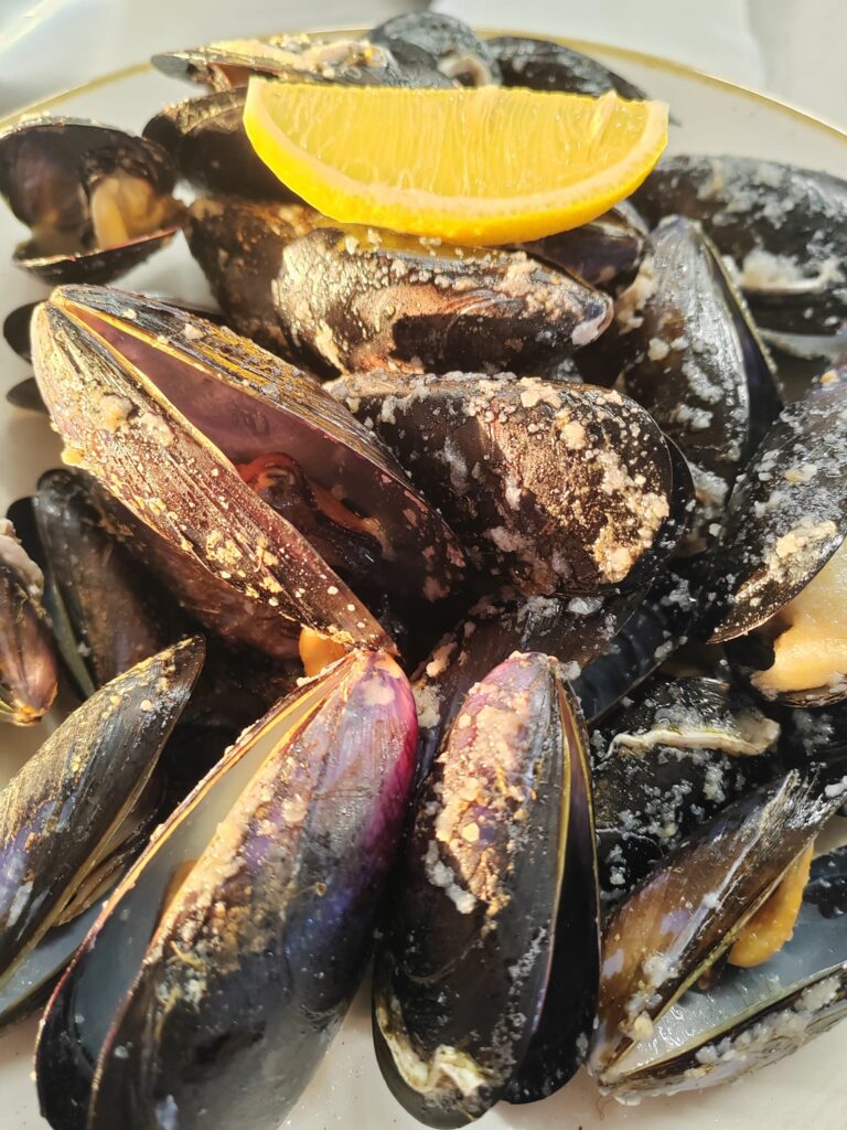 Gallery-Mussels